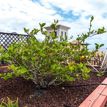 Magnificent In Terrazas Del Duque 1 Apartment Costa Adeje (Tenerife)