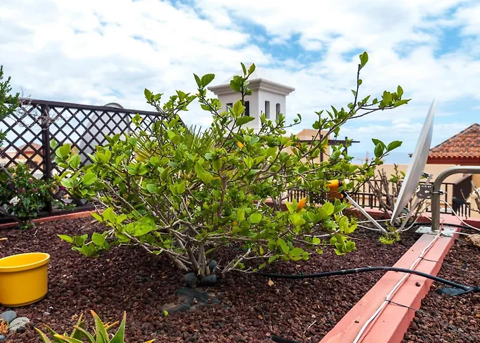 Magnificent In Terrazas Del Duque 1 Lejlighed Costa Adeje (Tenerife)